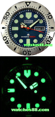 CITIZEN PROMASTER Diver�s 200M Titanium Automatic NY0054-04L 