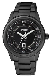 CITIZEN Eco-Drive Ladies Collection FE1104-55E