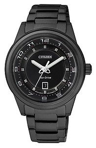 CITIZEN  Eco-Drive Ladies Collection FE1104-55E