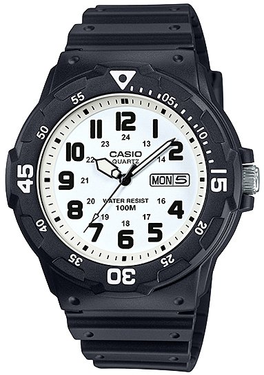 casio diver 100m