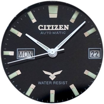 Citizen Mid-size Automatic NH6490-09E