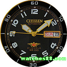 Citizen Sports Automatic 100M NH8182-51E